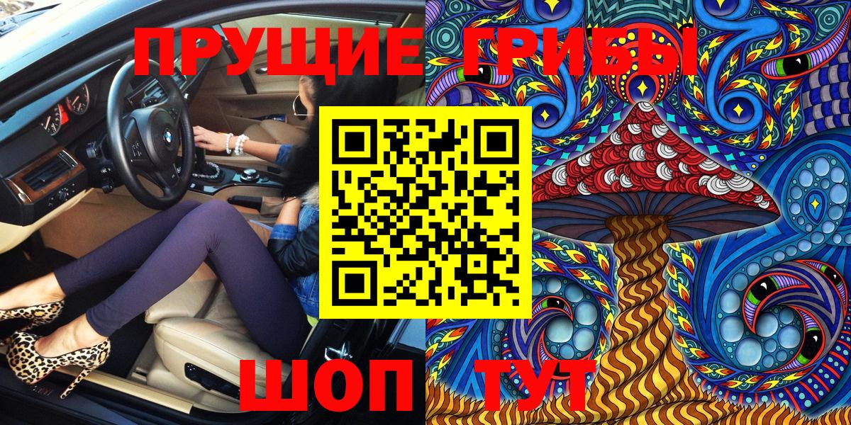 купить наркотики цена  Галлюциногенные грибы MAGIC MUSHROOMS  Вход с VPN  Нижний Тагил 